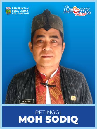 Anggota kepemerintahan desa lebak